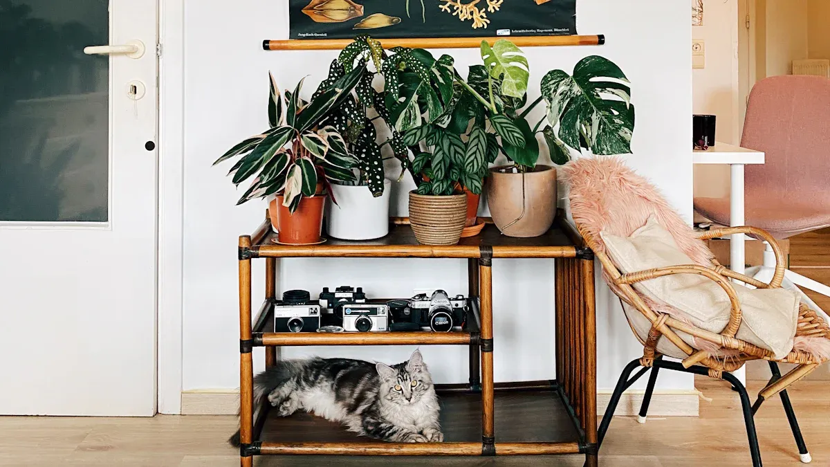 Home Tropical Decor: Interior Design, Inspiration & Styling Tips