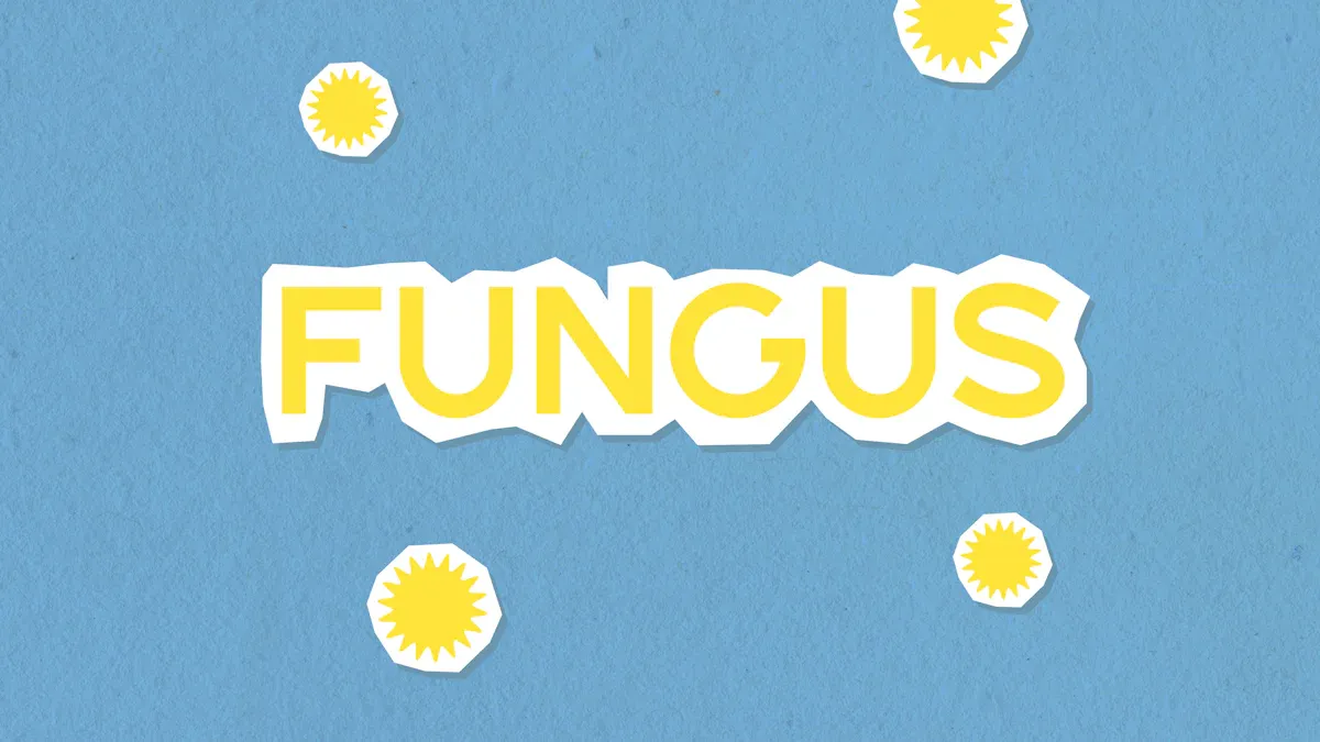 Nail and Foot Fungus in Socks