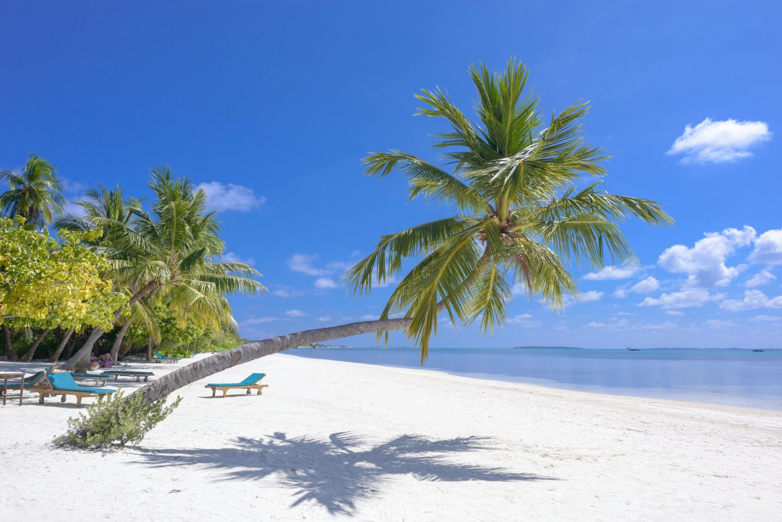 Luxury Travel