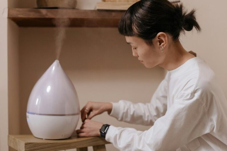 air purifier humidifier differences benefits
