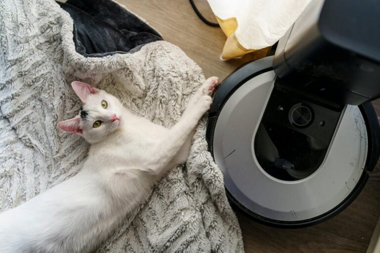 best bissell cat vacuums