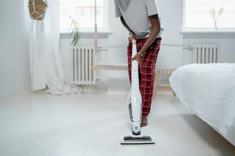 bissell handheld vacuum rankings