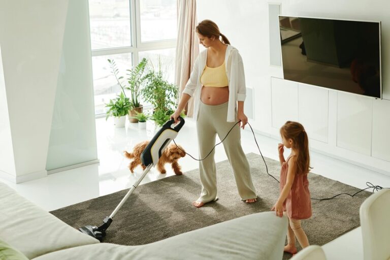 commercial dog hair vacuums