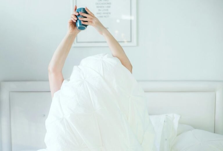 elevated daily structured comfort